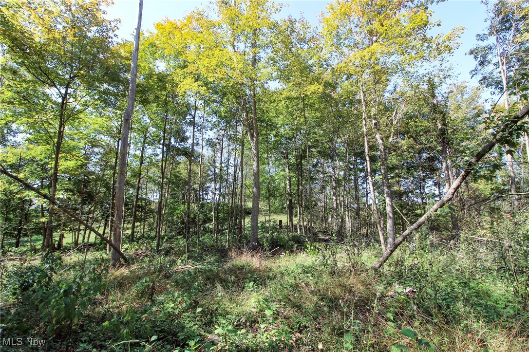 Lot 2 Brooks Road, Marietta, Ohio image 7