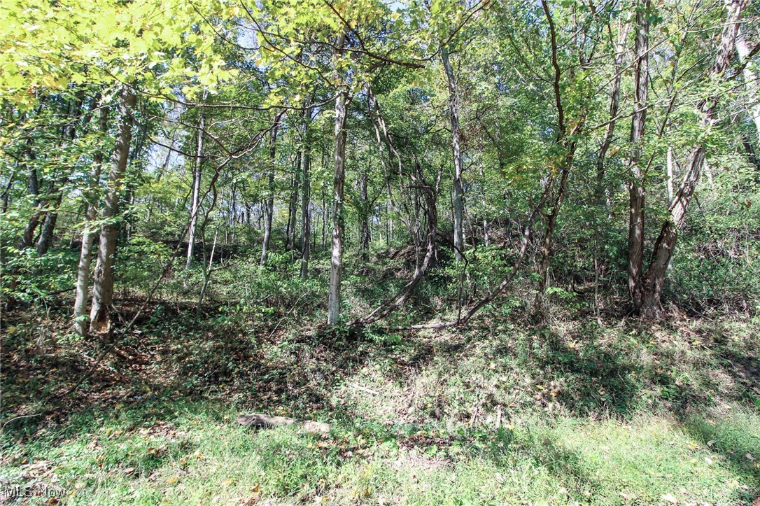 Lot 2 Brooks Road, Marietta, Ohio image 3