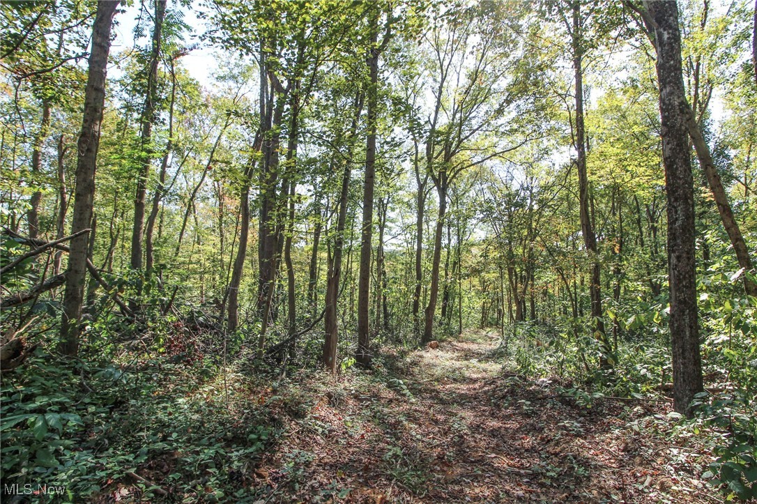 Lot 2 Brooks Road, Marietta, Ohio image 11