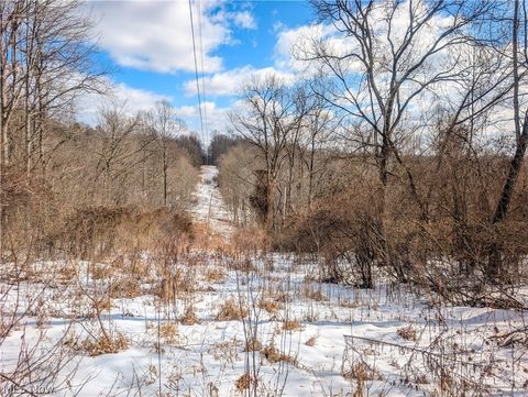 Vacant Land For Sale - 0 TRACT 13 Ayers Ridge<br/> Noble County, Lower Salem, OH 43788