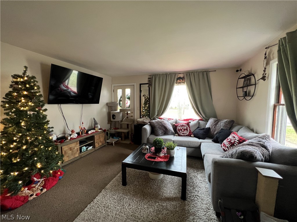 Orchard Park Allotment - Residential