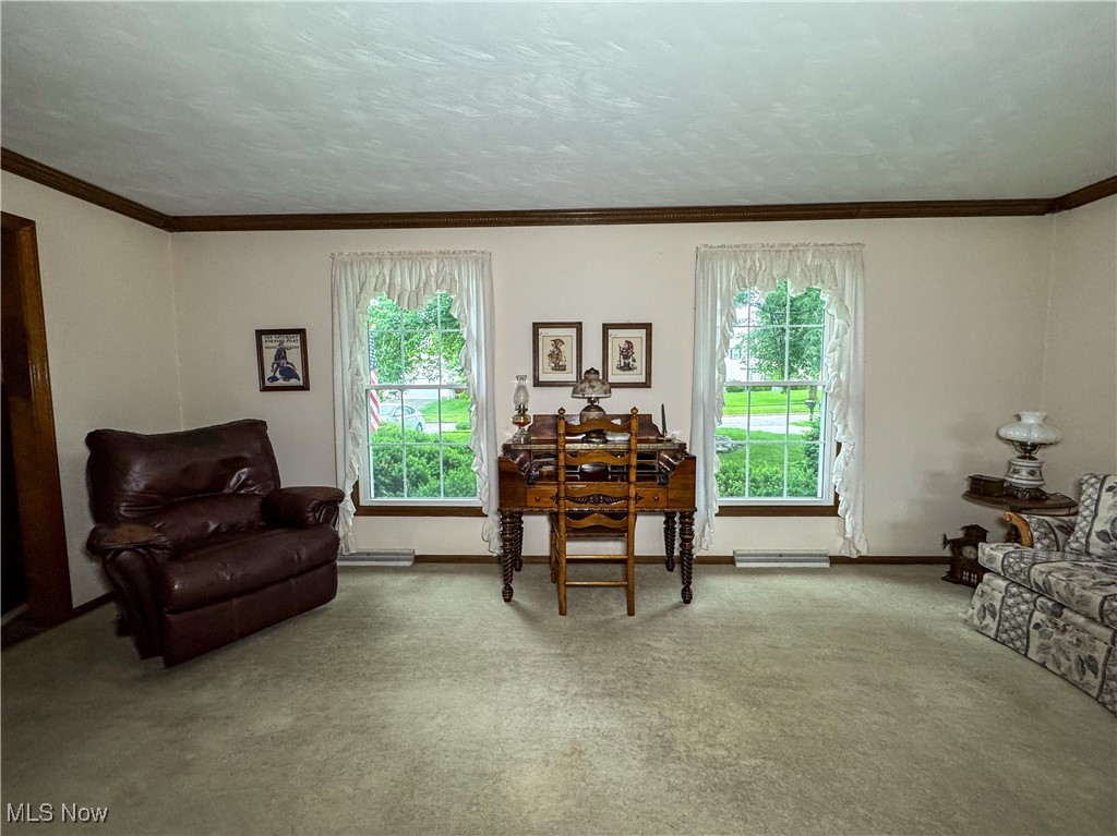 453 Gardenview Drive, Youngstown, Ohio image 6