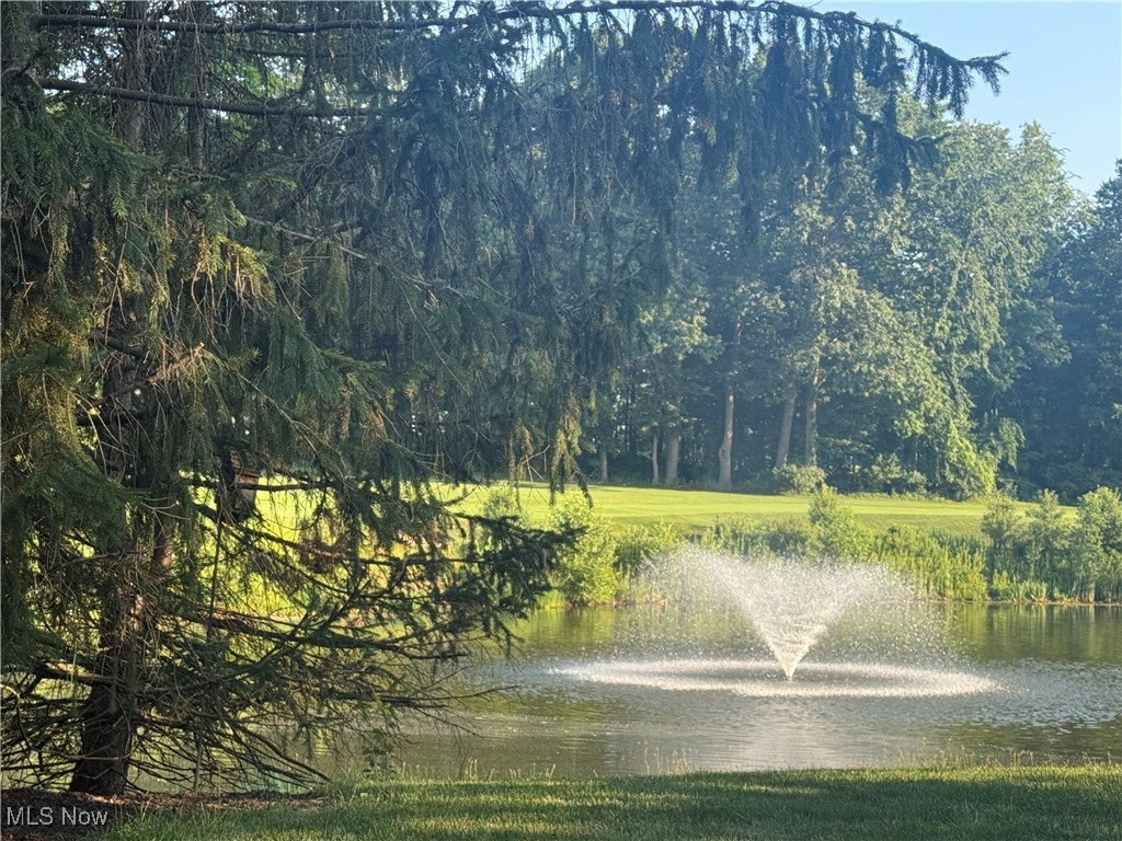 Waterford Pointe Condo - Residential