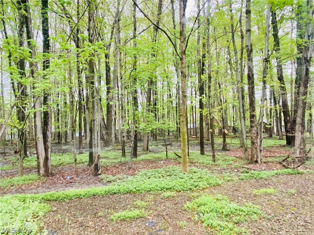 Ledgewood 01 - Residential