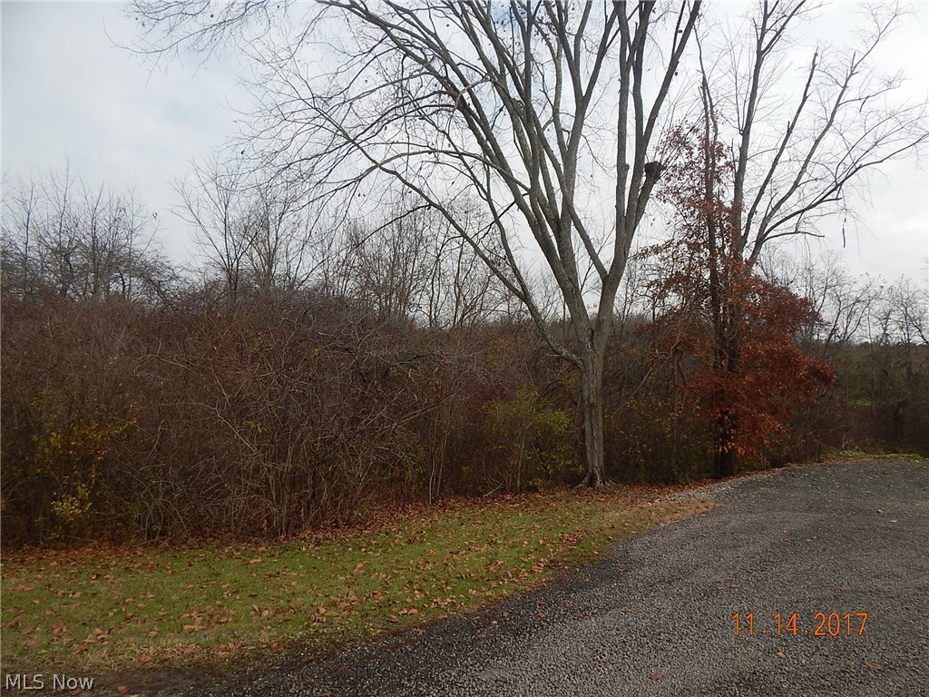 This large lot at Seneca Lake is located at the end of Flamingo Lane. No conservancy restrictions so this is ideal for summertime use or year round housing. The land is level and wooded. Septic would need to be installed.