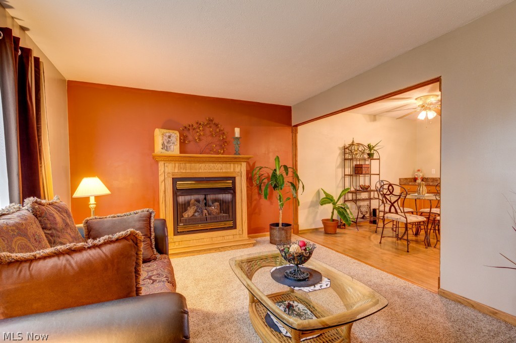 Surfside - Residential