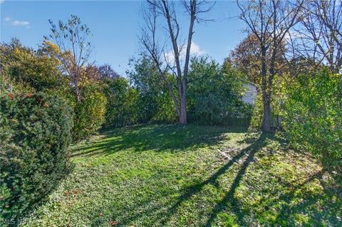 Tiny photo for 64 Palmetto Avenue, Akron, OH 44301 (MLS # 5255495)