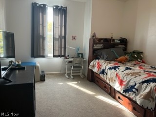 Georgia Pine Estates - Residential