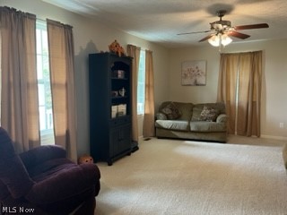 Georgia Pine Estates - Residential