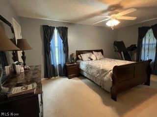 Georgia Pine Estates - Residential