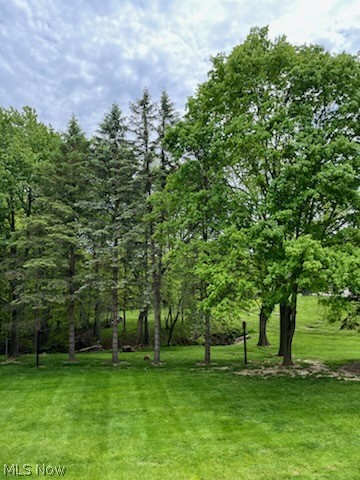 Williamsburg Commons - Residential