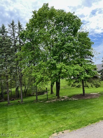 Williamsburg Commons - Residential