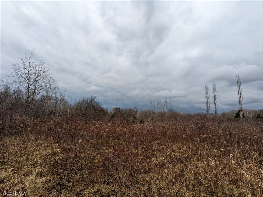 Nice property in the northeastern-most area of Ohio. This property has a beautiful creek running through it and is mostly level, perfect for your next county homestead. Perfect property for the outdoor enthusiast with plenty of wildlife. In the country, yet close to amenities.  Come and create your own hobby farm! This property might be smaller but had a ton of opportunity! Call today before this one is gone.