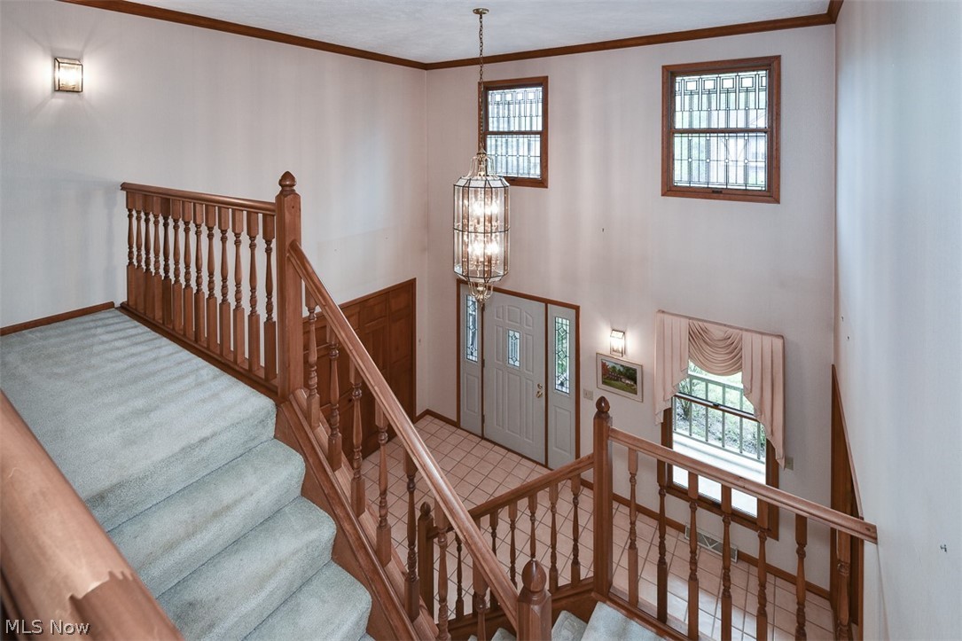 Throw 02/Stones - Residential