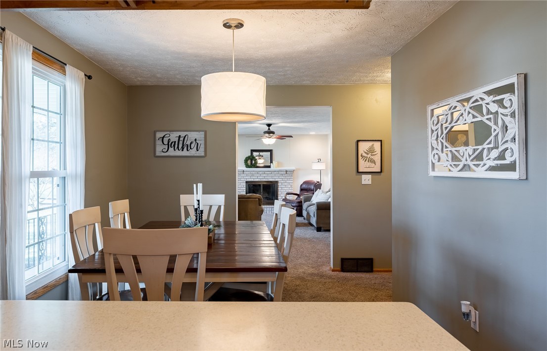 Andyville Allotment 03 - Residential