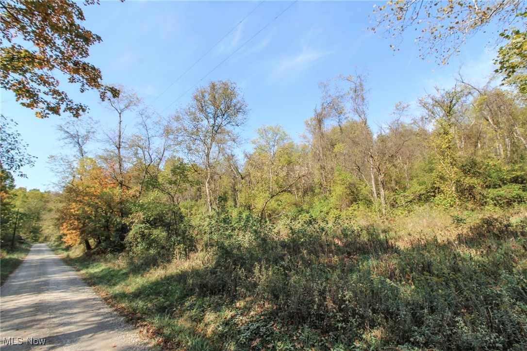 Lot 3 Brooks Road, Marietta, Ohio image 11