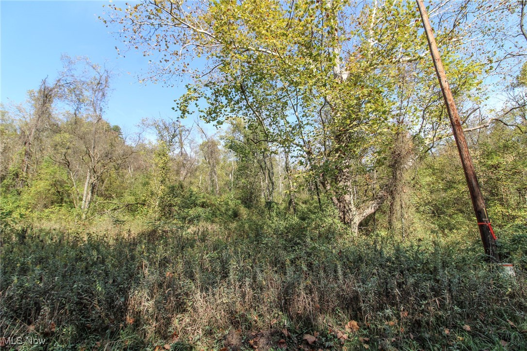 Lot 3 Brooks Road, Marietta, Ohio image 13