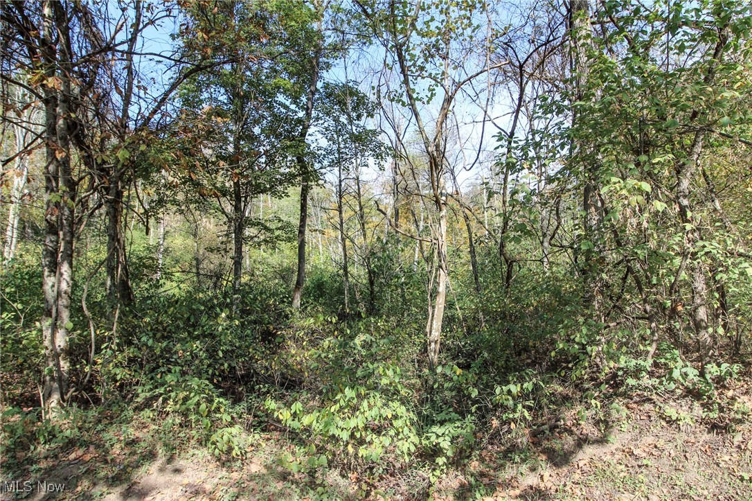 Lot 3 Brooks Road, Marietta, Ohio image 9