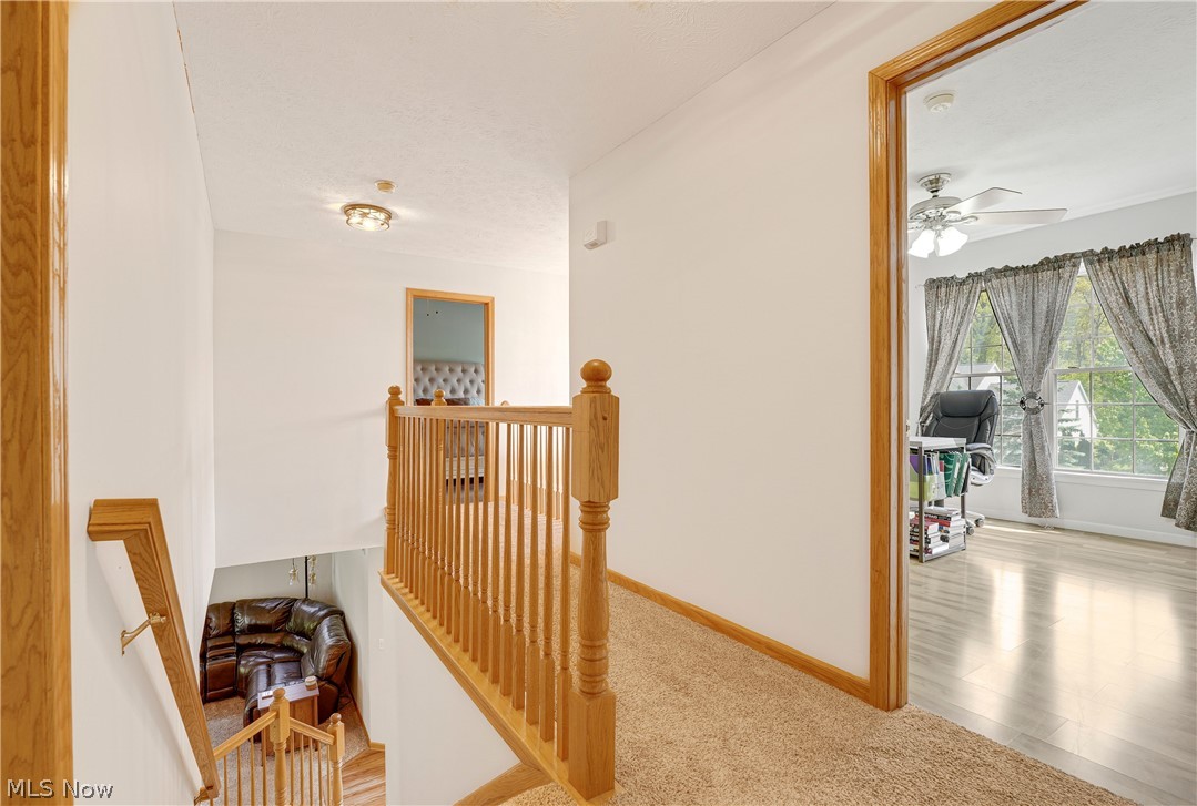 Dover Heights - Residential