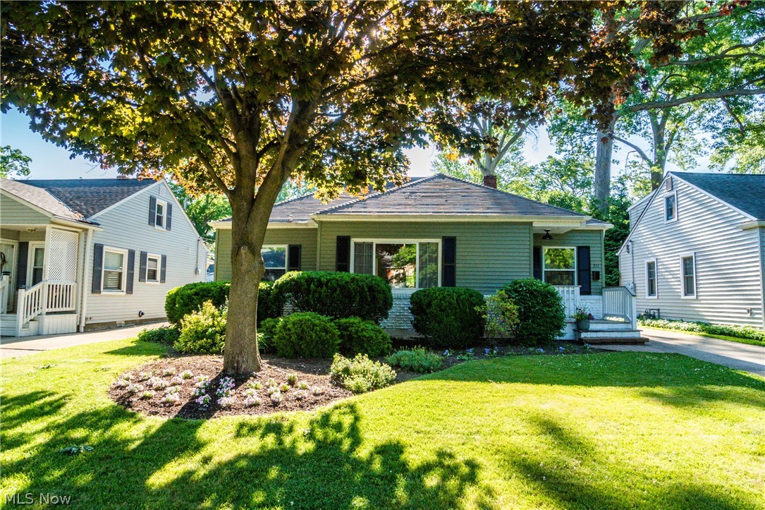 Elmwood Realty Cos Beach Allo - Residential