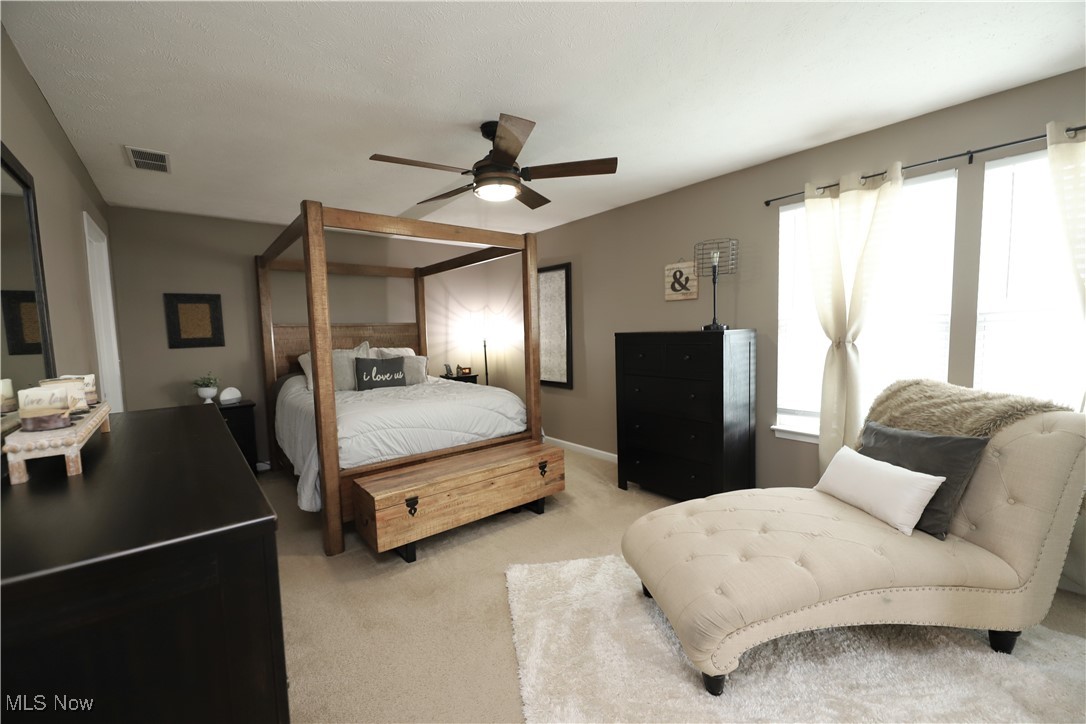 421 Dalton Drive, Wadsworth, Ohio image 15