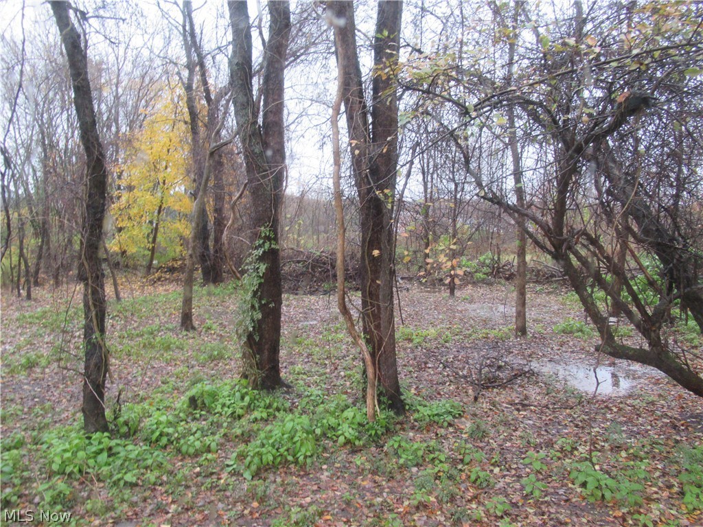 Hillsdale - Commercial Sale