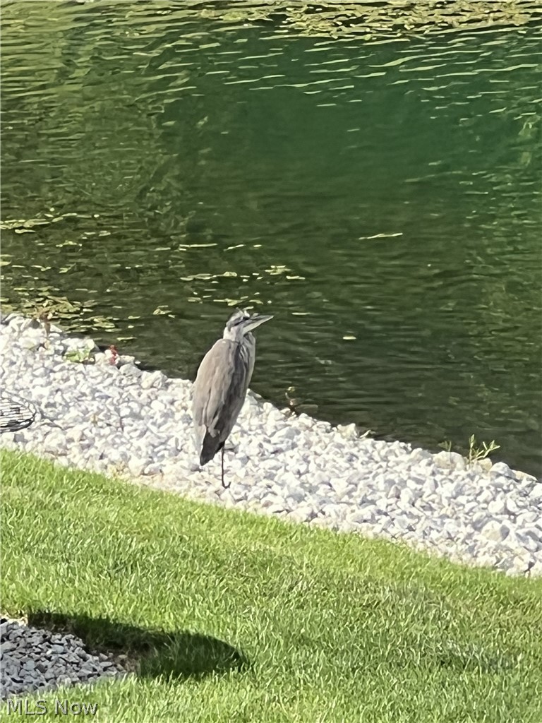 Liberty Ledges Sub Ph 7 - Residential