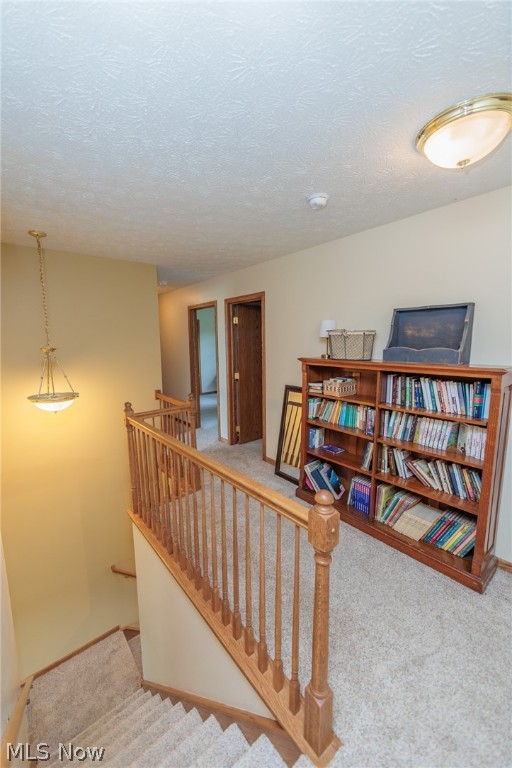 Western Reserve Homestead Ph 02 - Residential