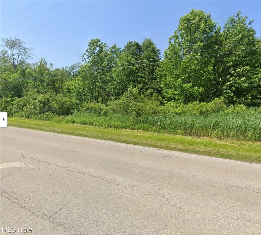 1 acre lot close to everything you need! Build your dream home or use it for outdoor entertainment. Close to Lake Erie, restaurants, shopping & schools.
