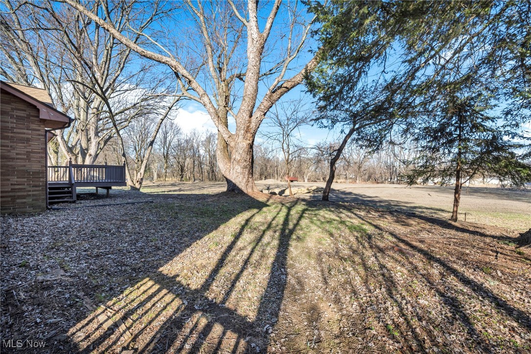 918 W Jackson Street, Painesville, Ohio image 31