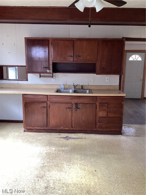 Barber & Lords Allotment - Residential