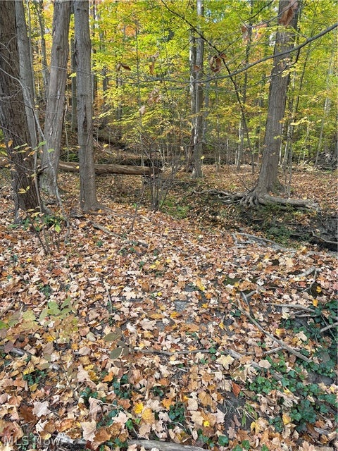 Tiny photo for VL Glenstone Drive, Kirtland, OH 44094 (MLS # 5255599)
