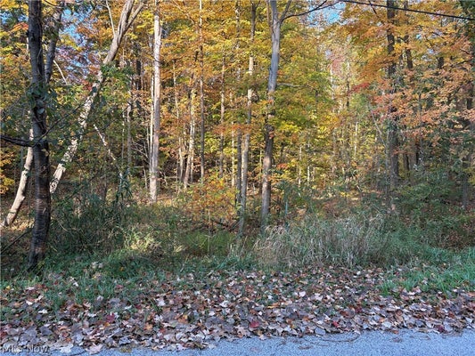 VL GLENSTONE DRIVE, WILLOUGHBY, OH 44094 - Image 7bbdbe7b41d7fe4da850dd5abfe4a7c1/2175493914