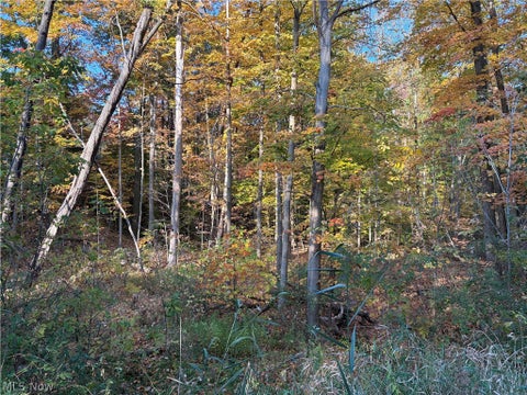 Tiny photo for VL Glenstone Drive, Kirtland, OH 44094 (MLS # 5255599)