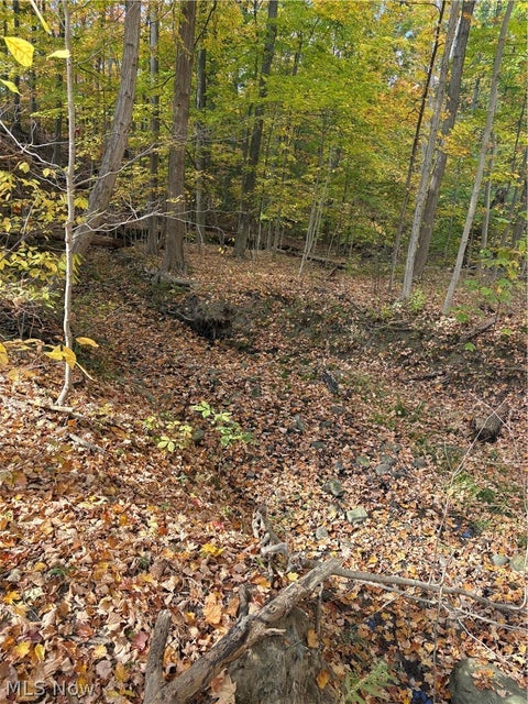 Tiny photo for VL Glenstone Drive, Kirtland, OH 44094 (MLS # 5255599)