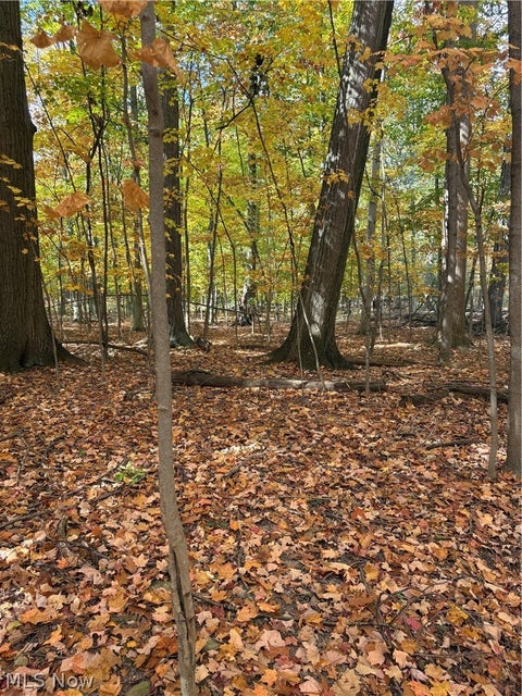 Tiny photo for VL Glenstone Drive, Kirtland, OH 44094 (MLS # 5255599)
