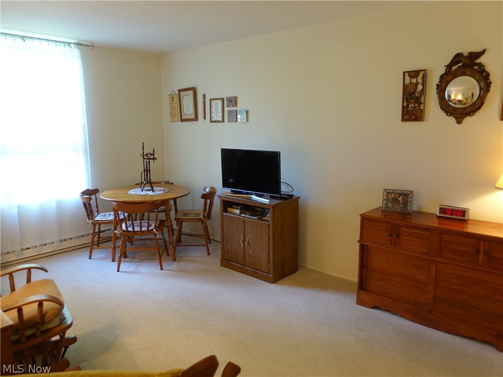 Silver Lake Towers Condo - Residential