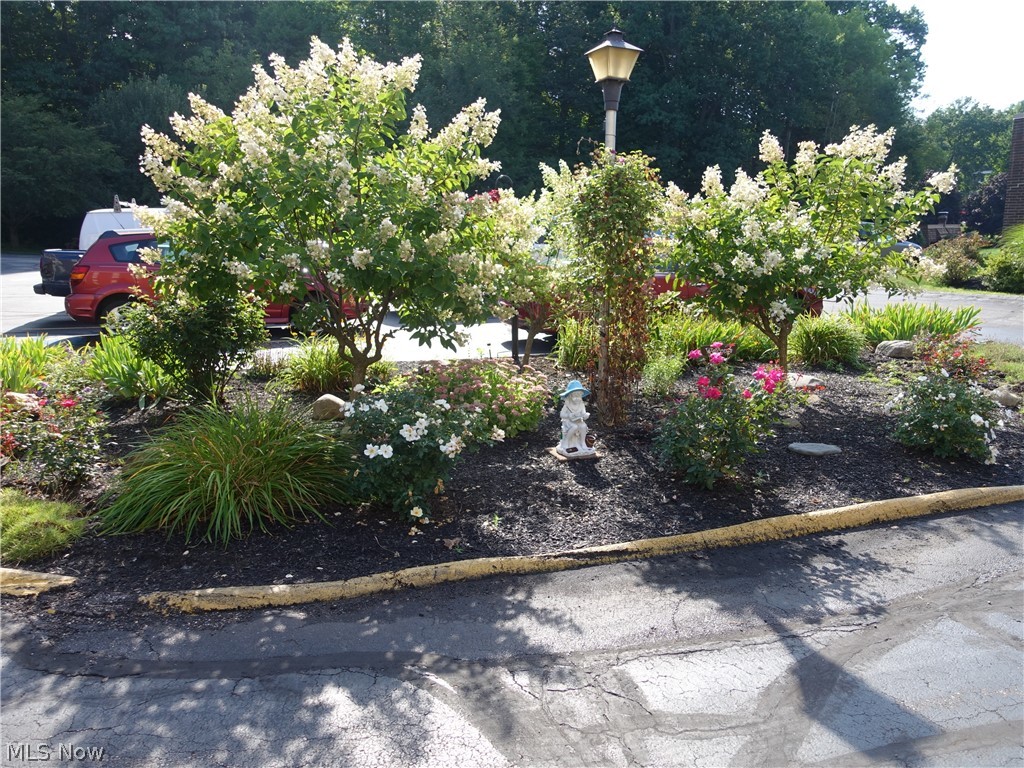 Silver Lake Towers Condo - Residential