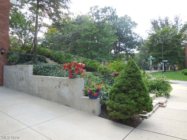 Woodland Colony - Residential