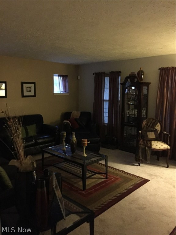 Leonard Cases - Residential