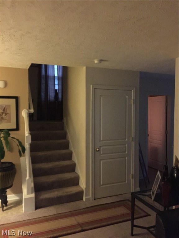 Leonard Cases - Residential