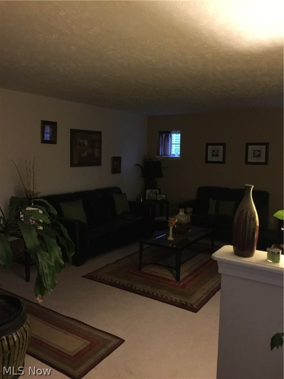 Leonard Cases - Residential