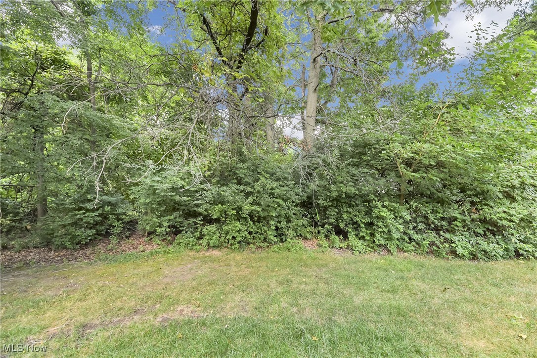 Raintree - Residential