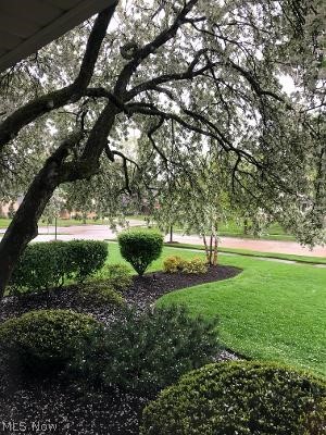 Richmond Park Cos Mdw Wood - Residential