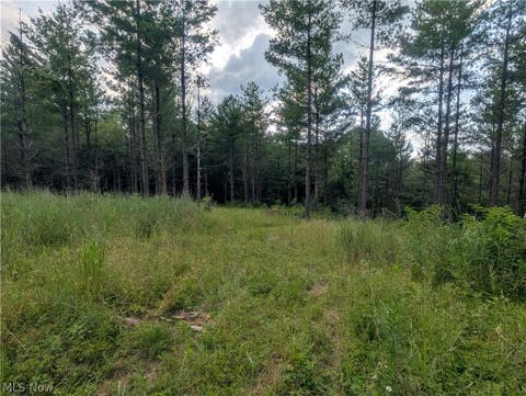Tiny photo for 0 Tract B Brownrigg Road, Caldwell, OH 43724 (MLS # 5228767)