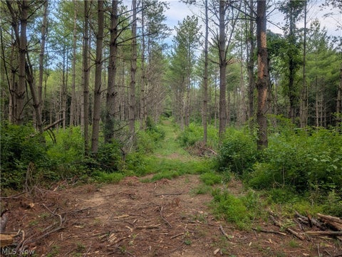 Tiny photo for 0 Tract B Brownrigg Road, Caldwell, OH 43724 (MLS # 5228767)