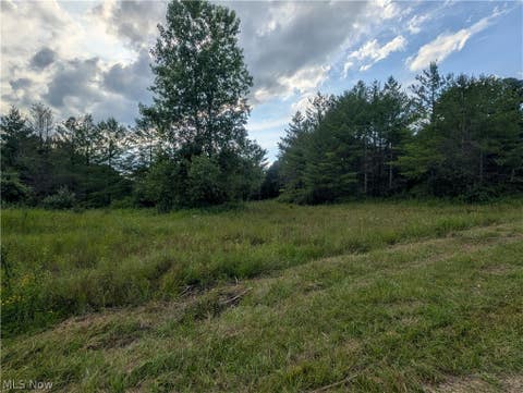 Tiny photo for 0 Tract B Brownrigg Road, Caldwell, OH 43724 (MLS # 5228767)