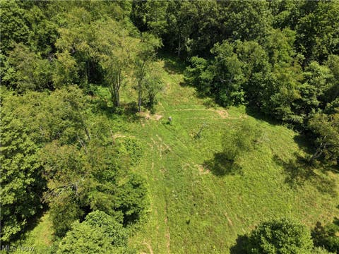 Tiny photo for 0 Tract B Brownrigg Road, Caldwell, OH 43724 (MLS # 5228767)