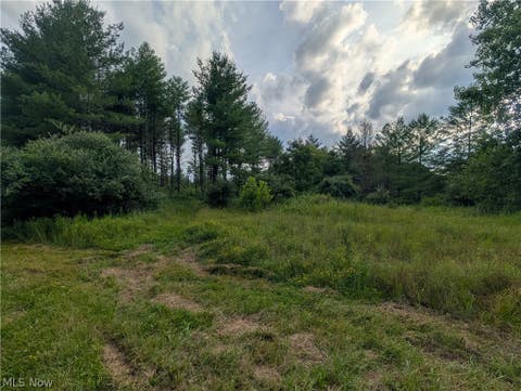 Tiny photo for 0 Tract B Brownrigg Road, Caldwell, OH 43724 (MLS # 5228767)