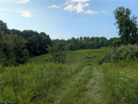 Tiny photo for 0 Tract B Brownrigg Road, Caldwell, OH 43724 (MLS # 5228767)
